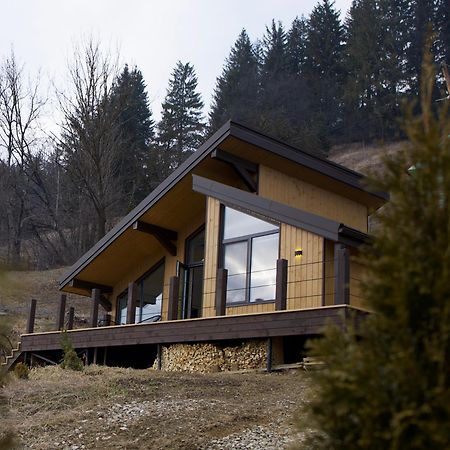 Petrick House Daire Verkhovyna Dış mekan fotoğraf