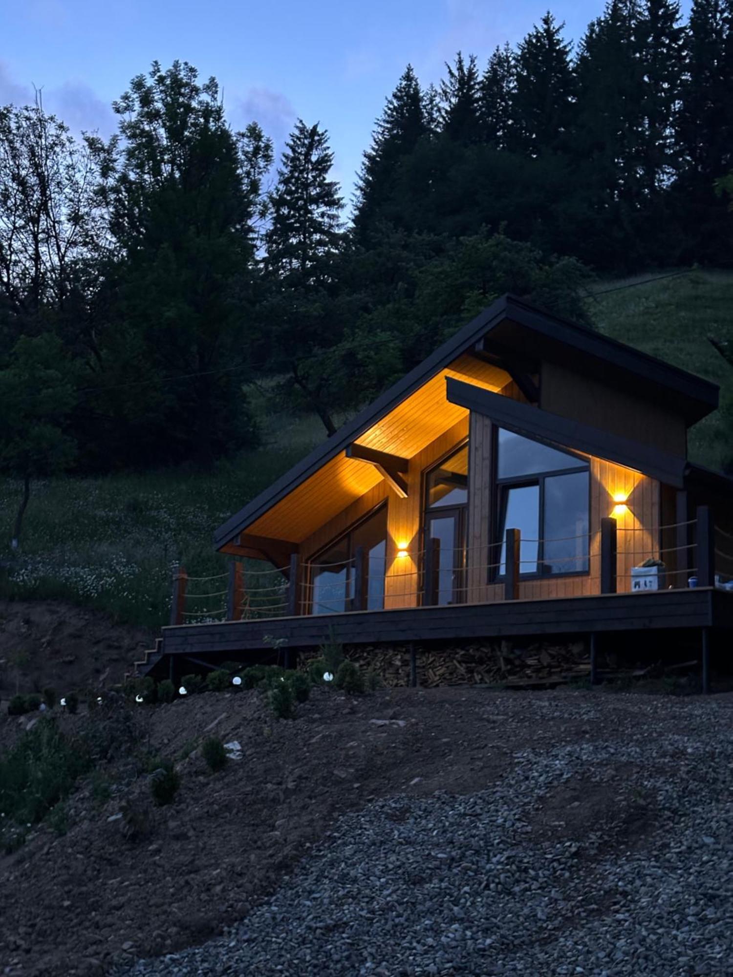 Petrick House Daire Verkhovyna Dış mekan fotoğraf